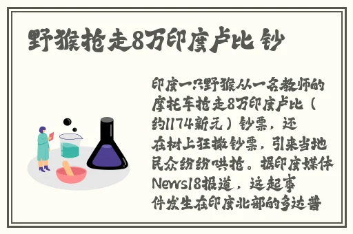 蘑菇在线登录官网